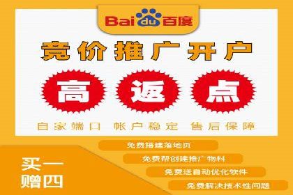成功案例分享：SEM推广策略的制定与执行